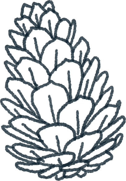 Pinecone