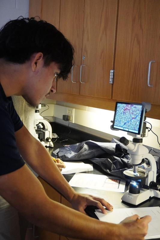 A student studies a slide on the new microscope.