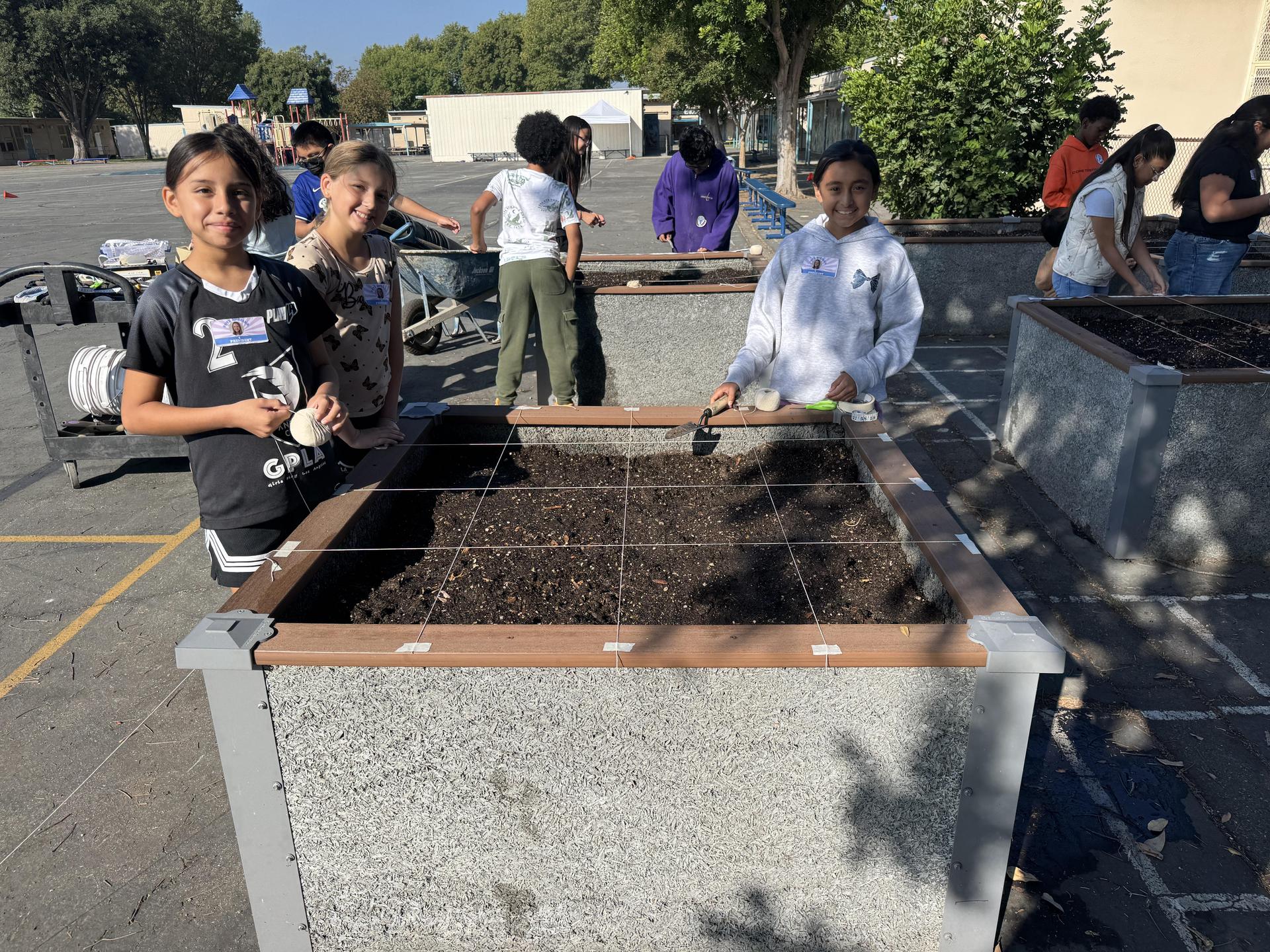 Lorne's Monarch Butterfly Sanctuary Garden