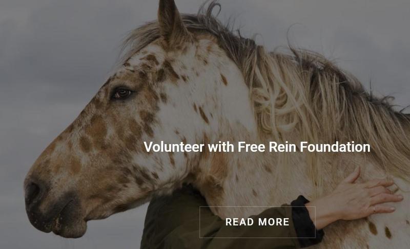 free rein