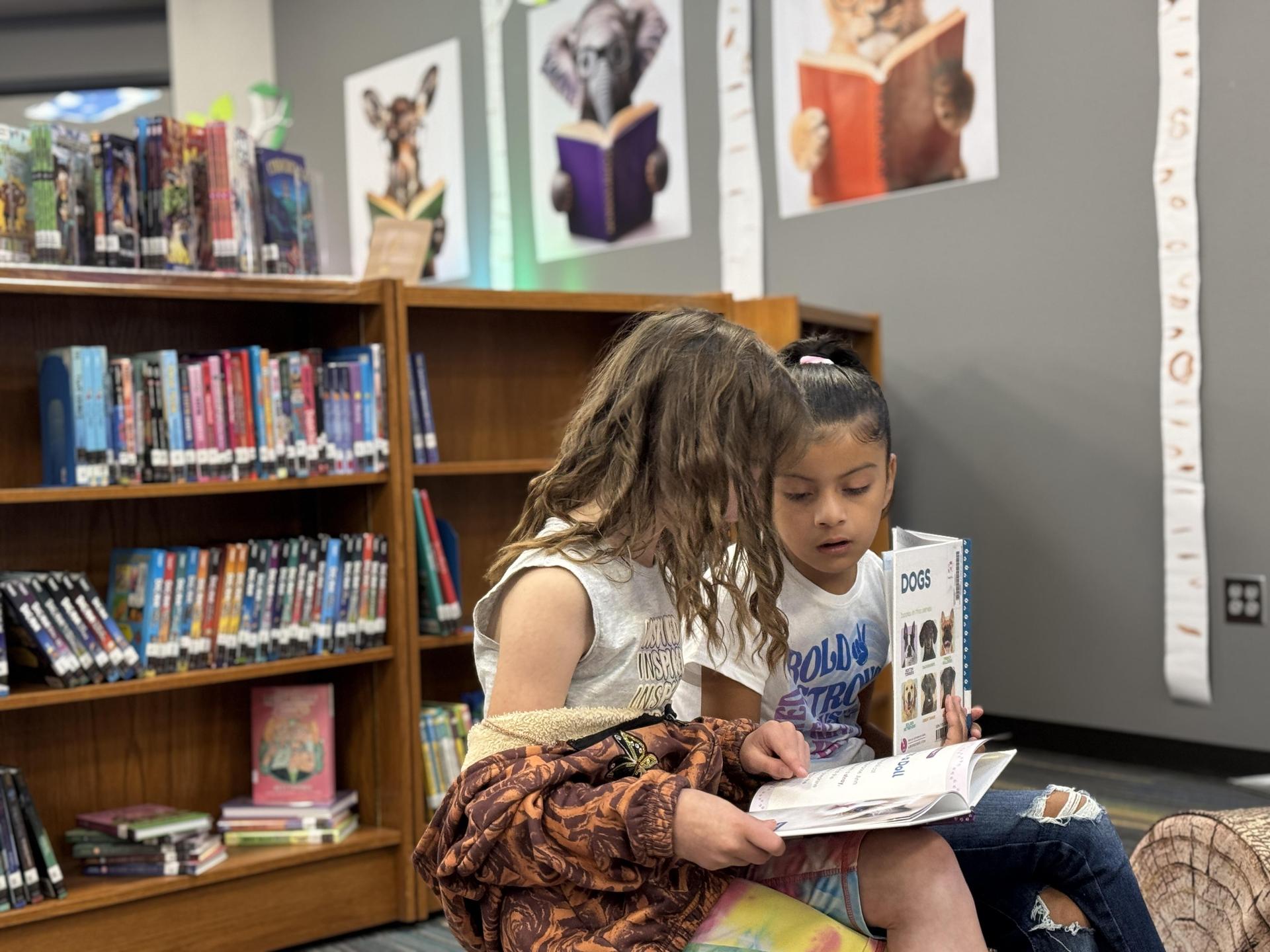 Library Time