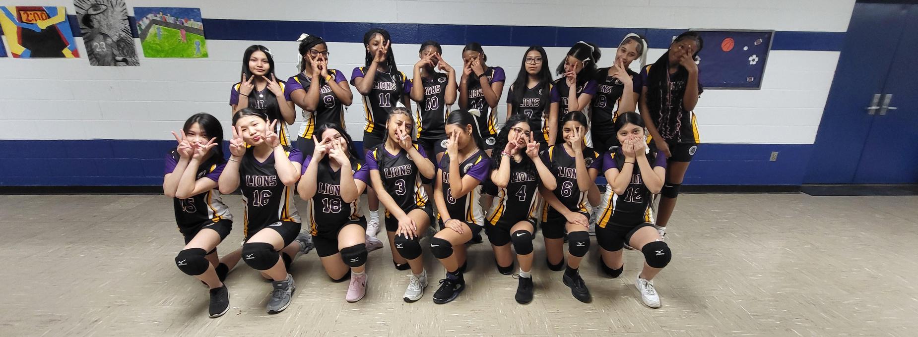 Girls Volleyball Team