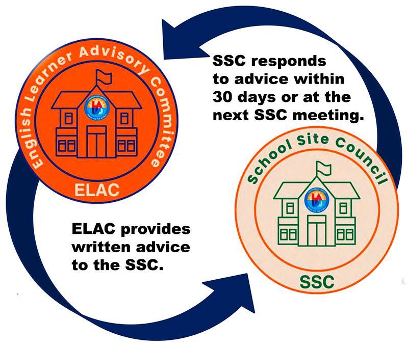 ELAC Advisement Process