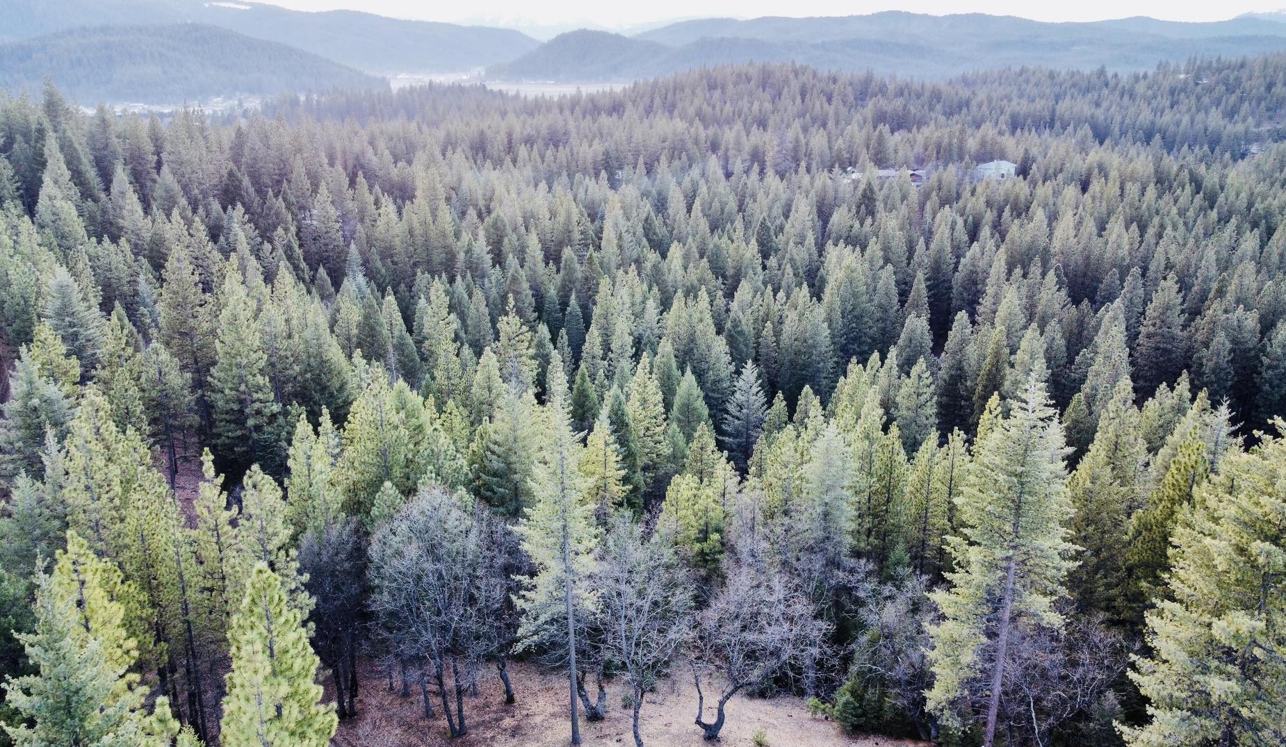 Drone American Valley
