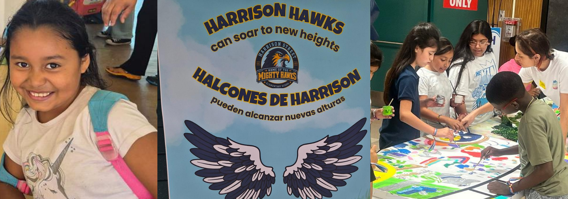 HAWKS2