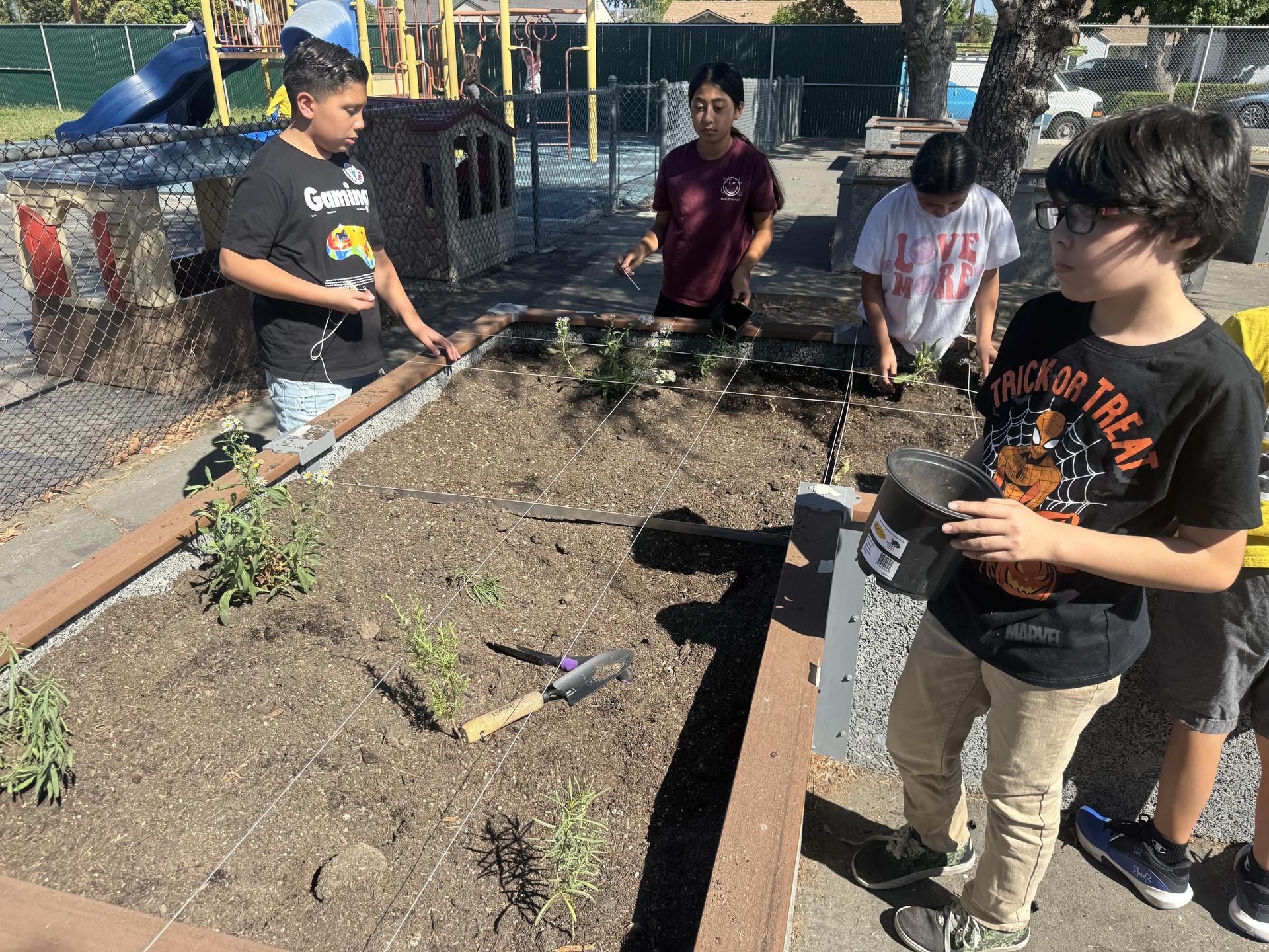 Lorne's Monarch Butterfly Sanctuary Garden