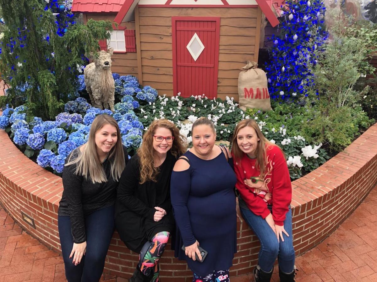 Winter 2019 Phipps Flower Show