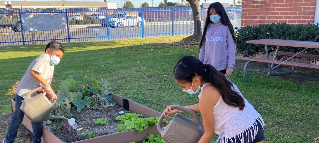 Three students watering the garden.