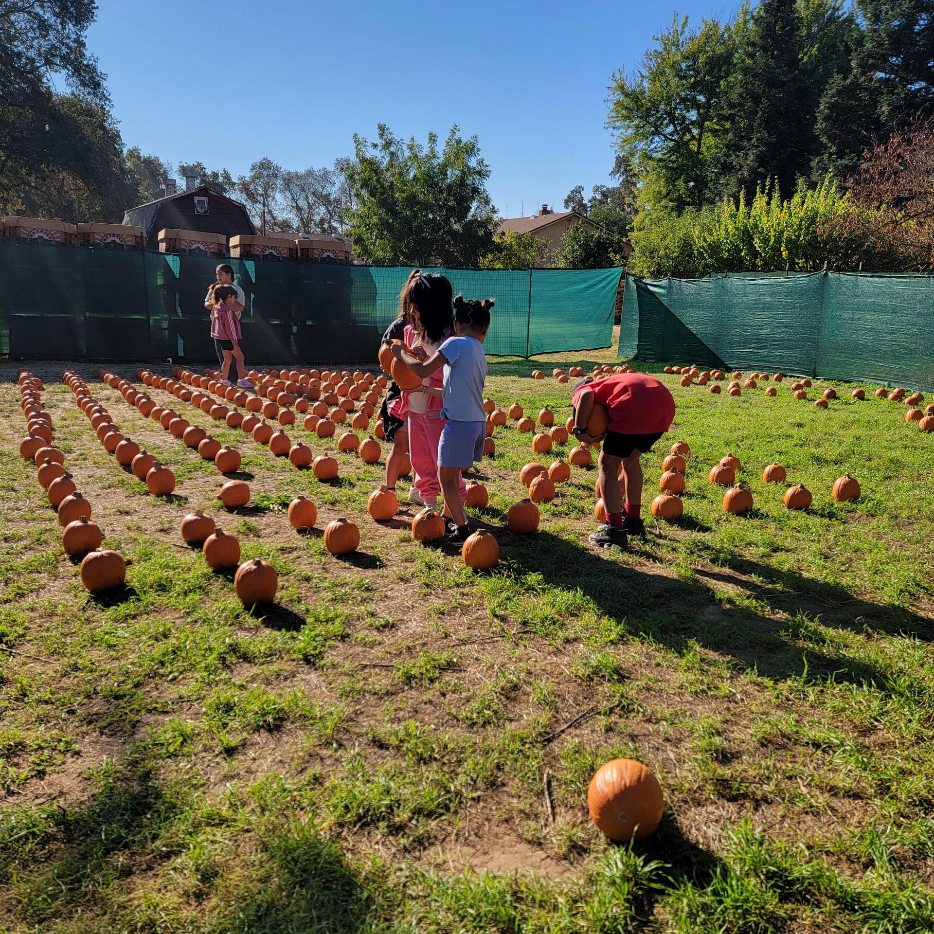 Newcomer students visiting a pumpkin patch in 2025