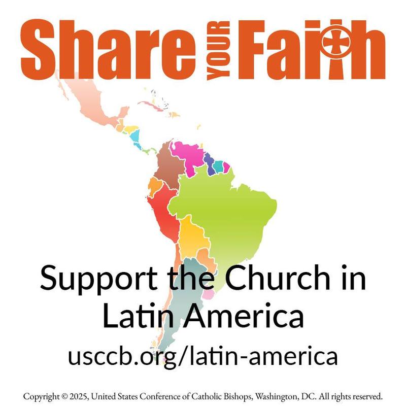 Special Collection: Church in Latin America