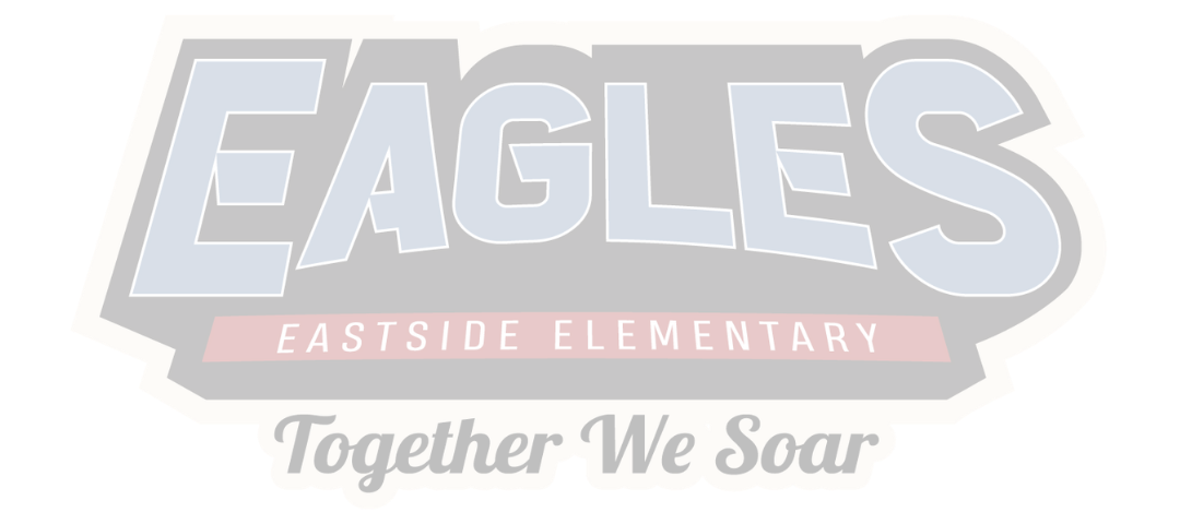 EES logo "together we fly"