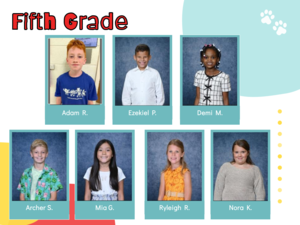 Wildcats representing Respect for Others