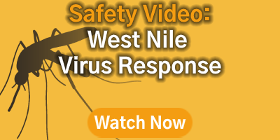 West Nile Viral Response 