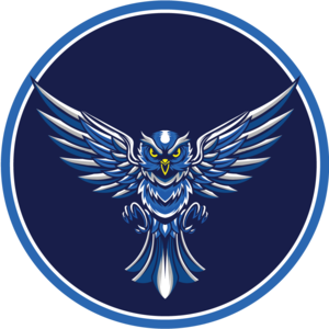 Valley Owl Logo