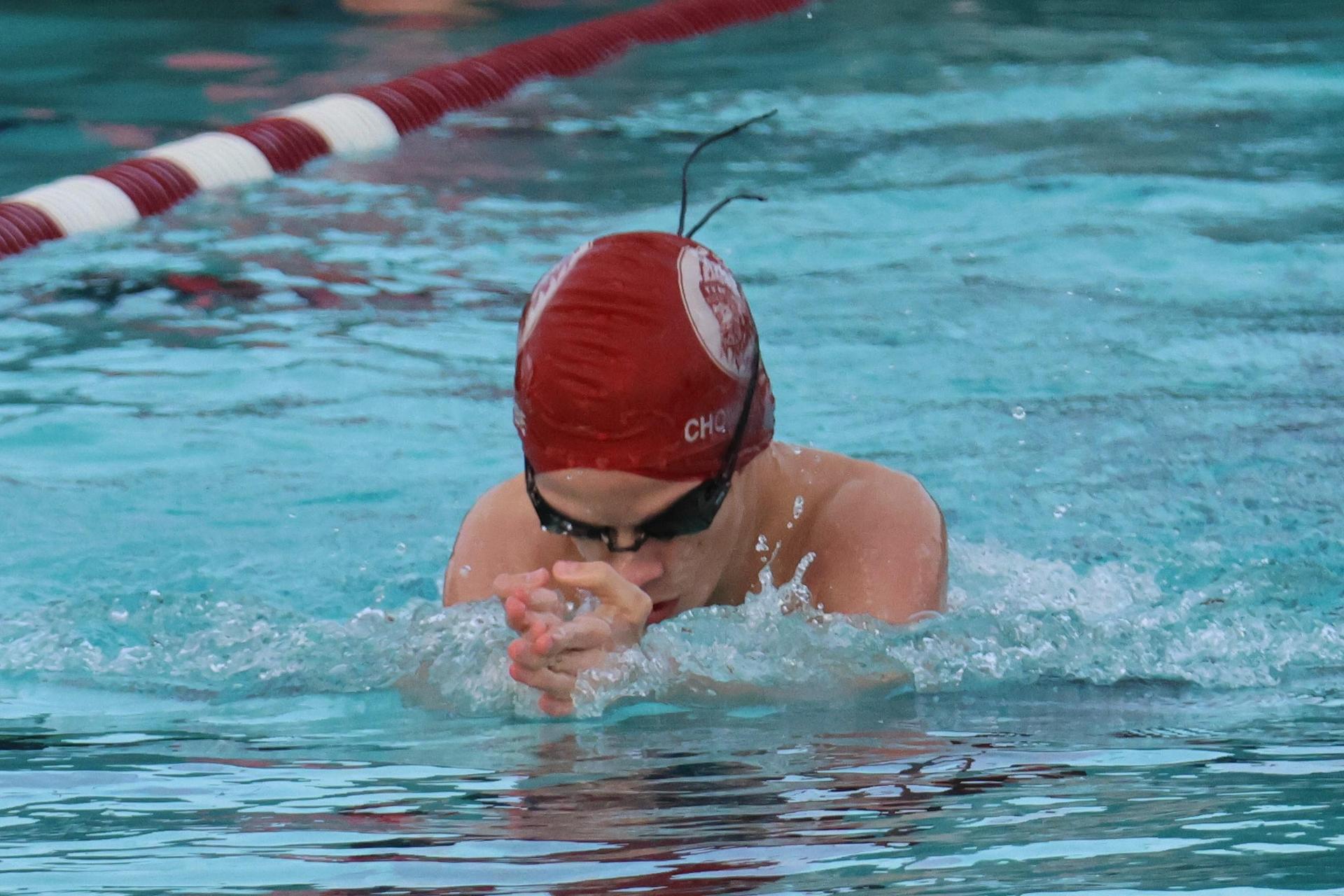 darren trapanese swimming