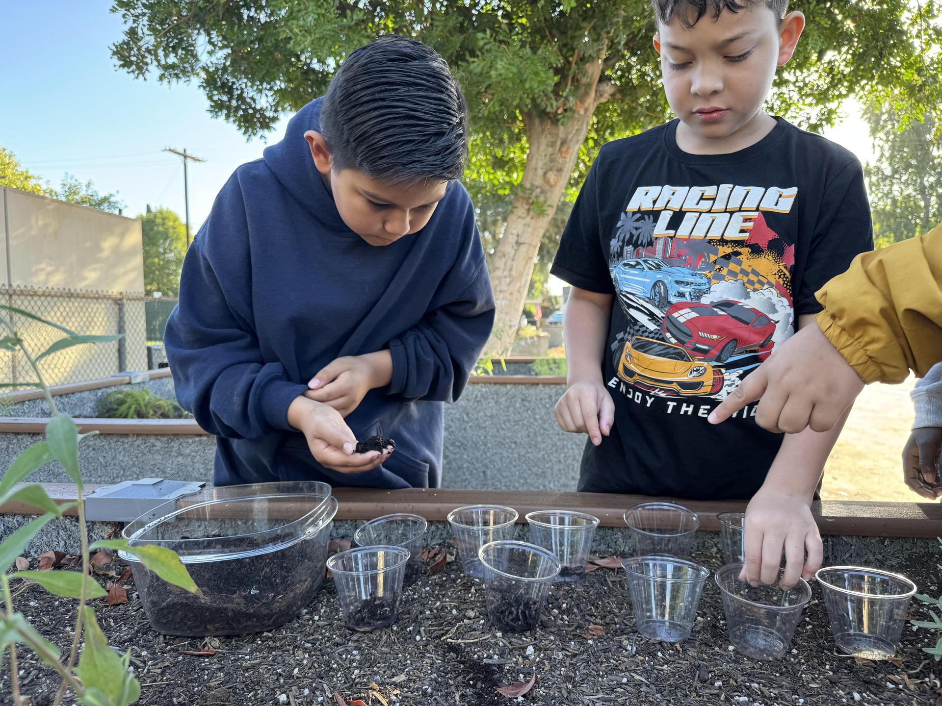 Students working on stewardship project