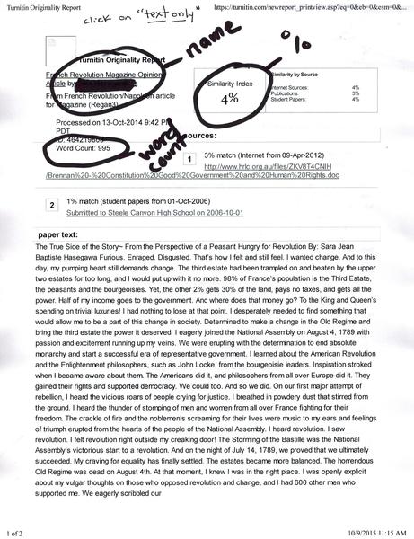 Example of Originality Report.jpg