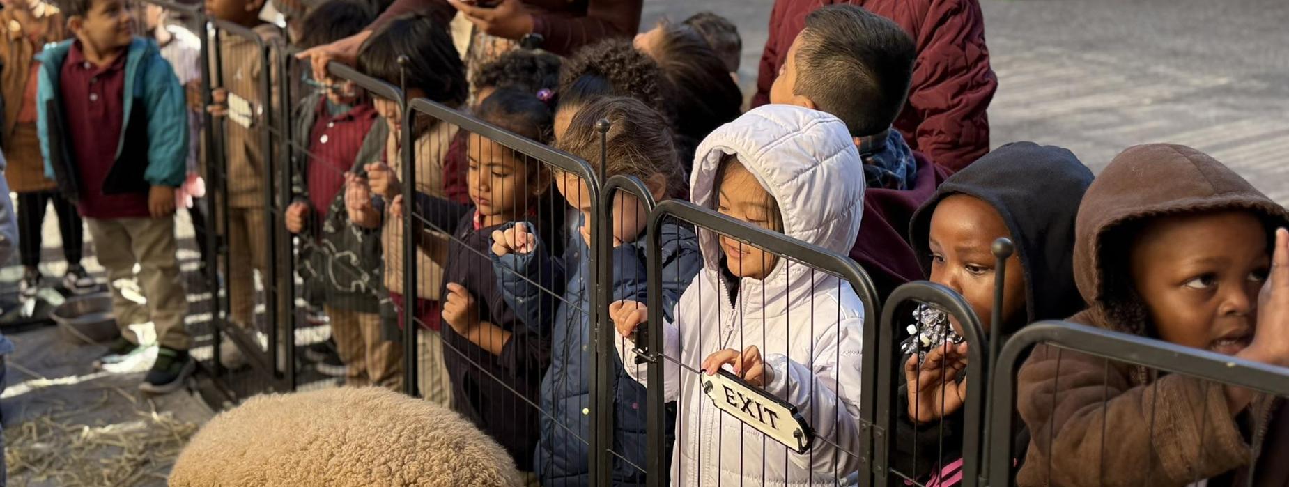 Harvest of Knowledge Fall Festival