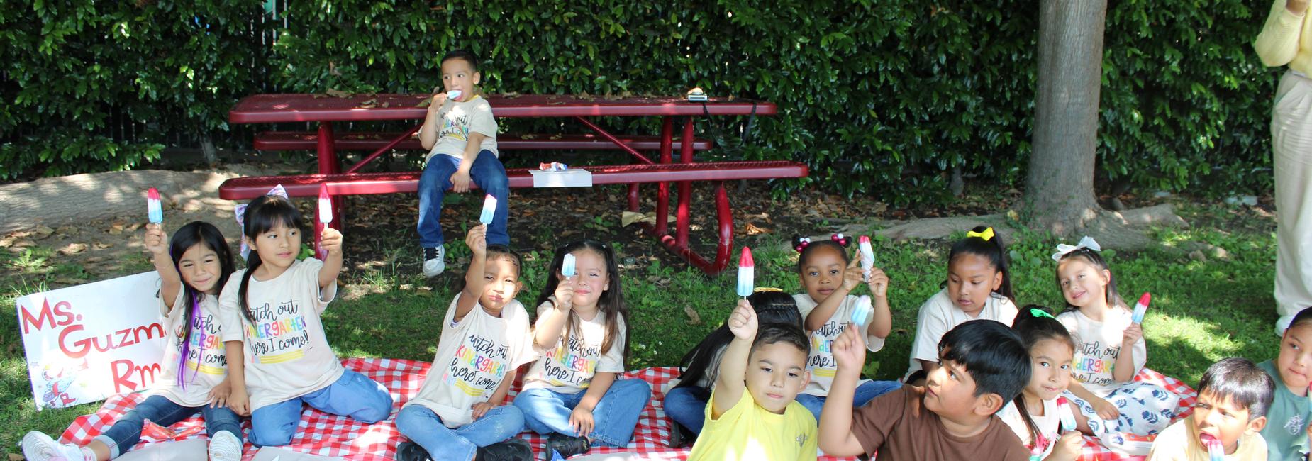 Ms. Guzman&rsquo;s Popsicle Picnic