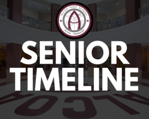 Senior timeline