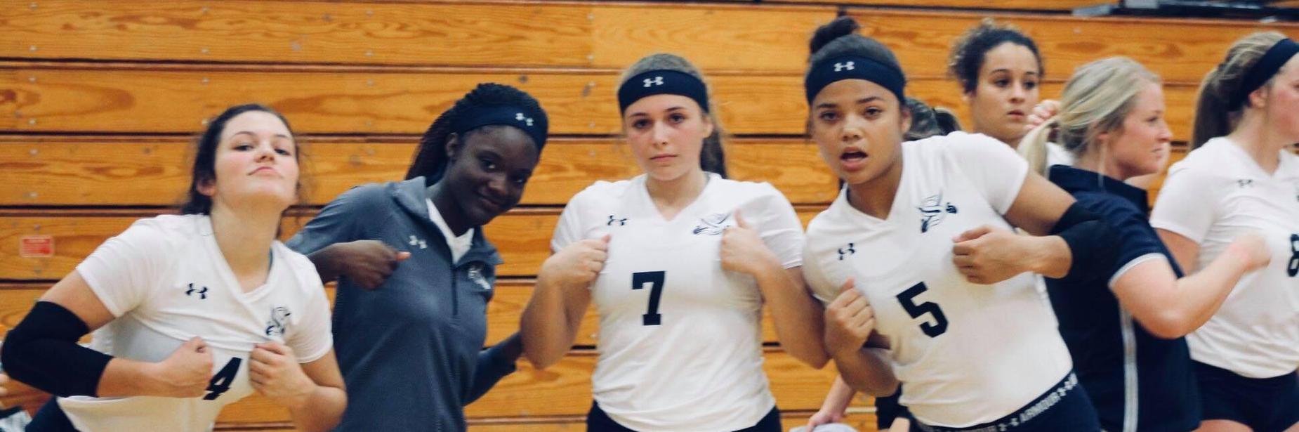 Volleyball players