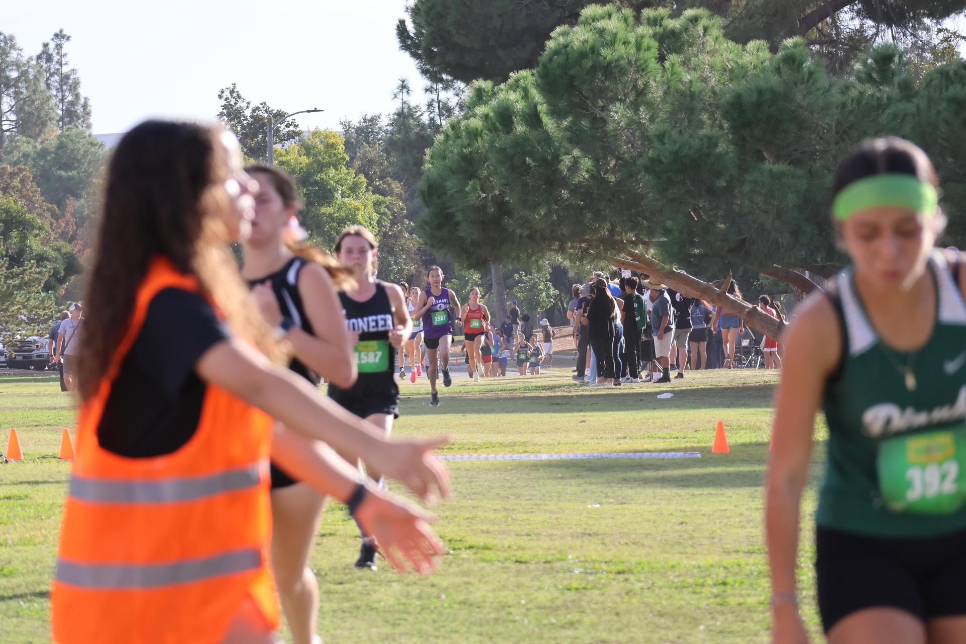 cross country runners in action
