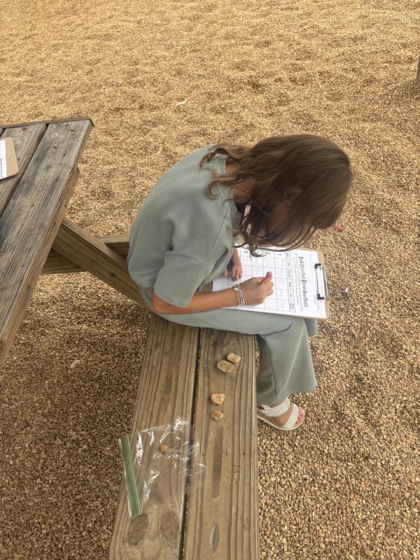 Rock Detectives