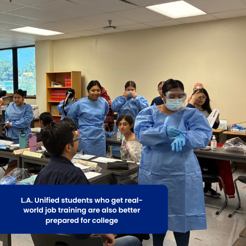 Bravo Medical Magnet Career Pathway