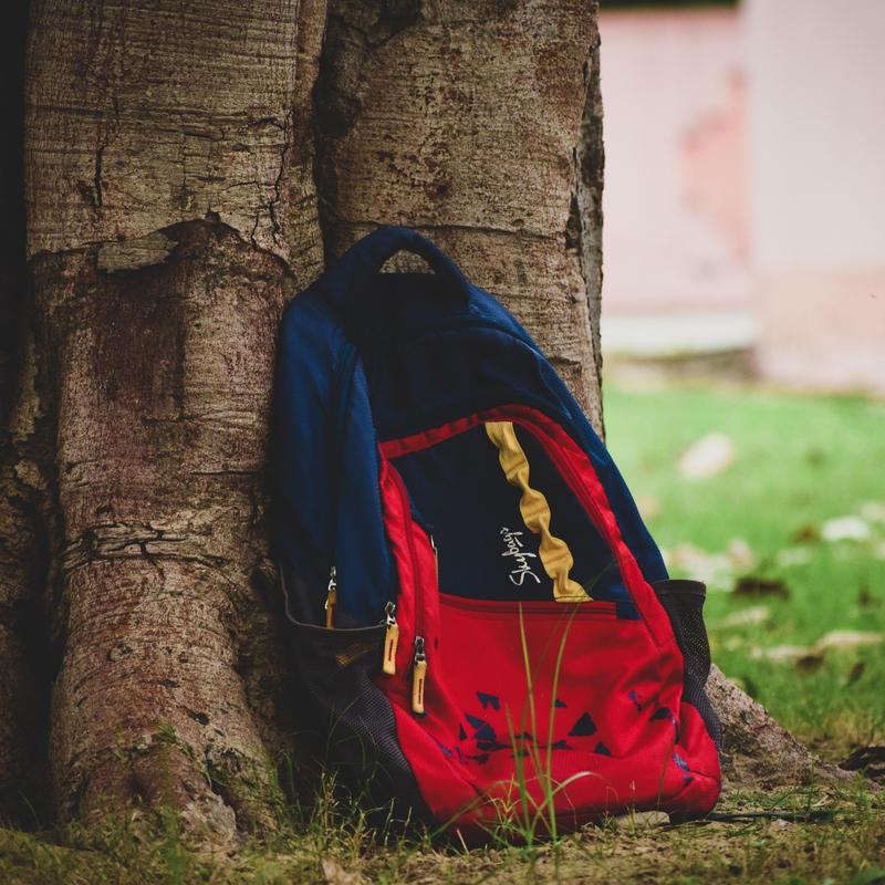 A red and blue backpack leaning against a tree trunk in a grassy area.