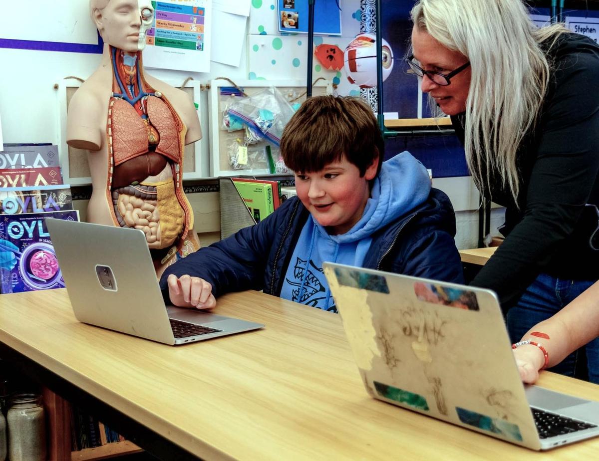 DVFriends Middle school boy works with a teacher in science class