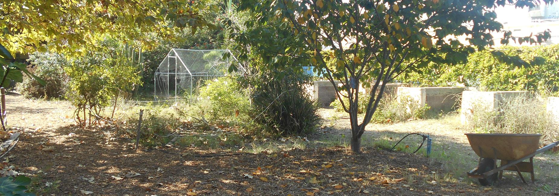 Carol Ariza Garden 2026