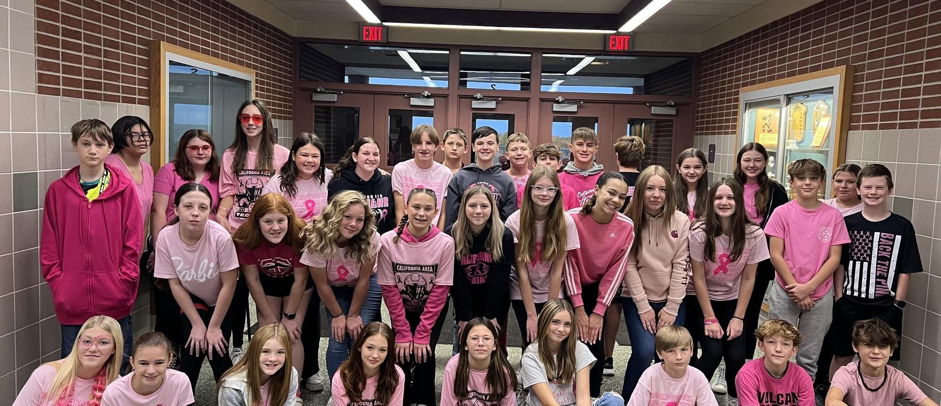 California Area School District