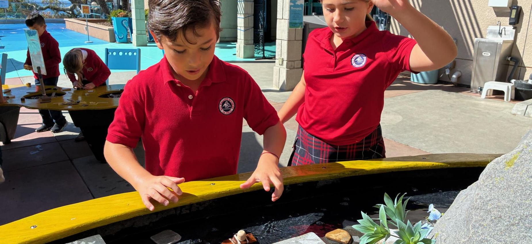 students explore the tide pools
