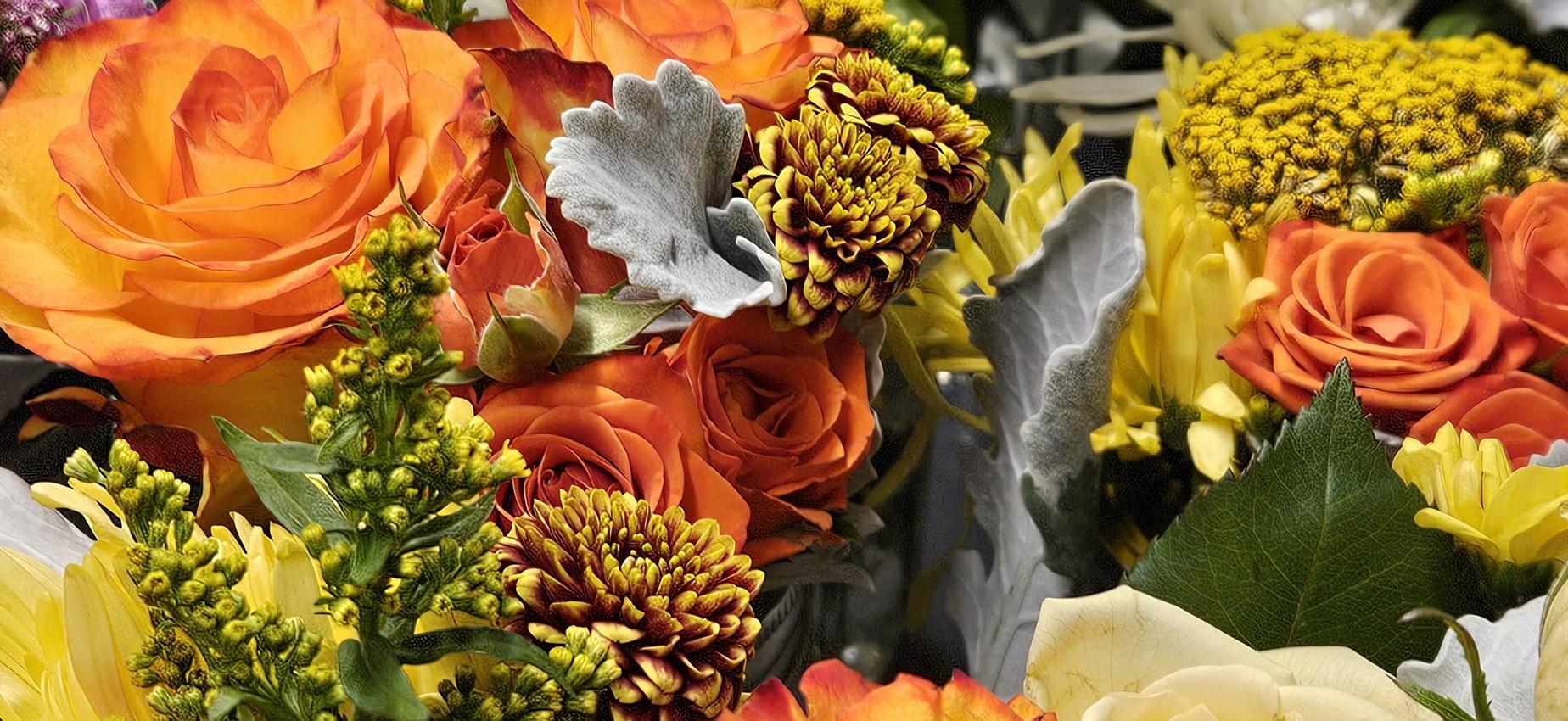 A variety of flowers