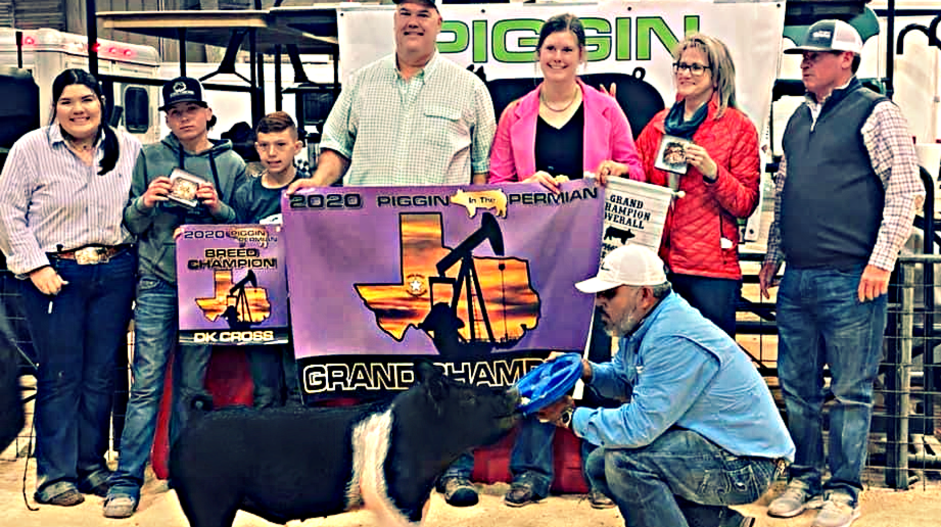 grand champ piggin permian