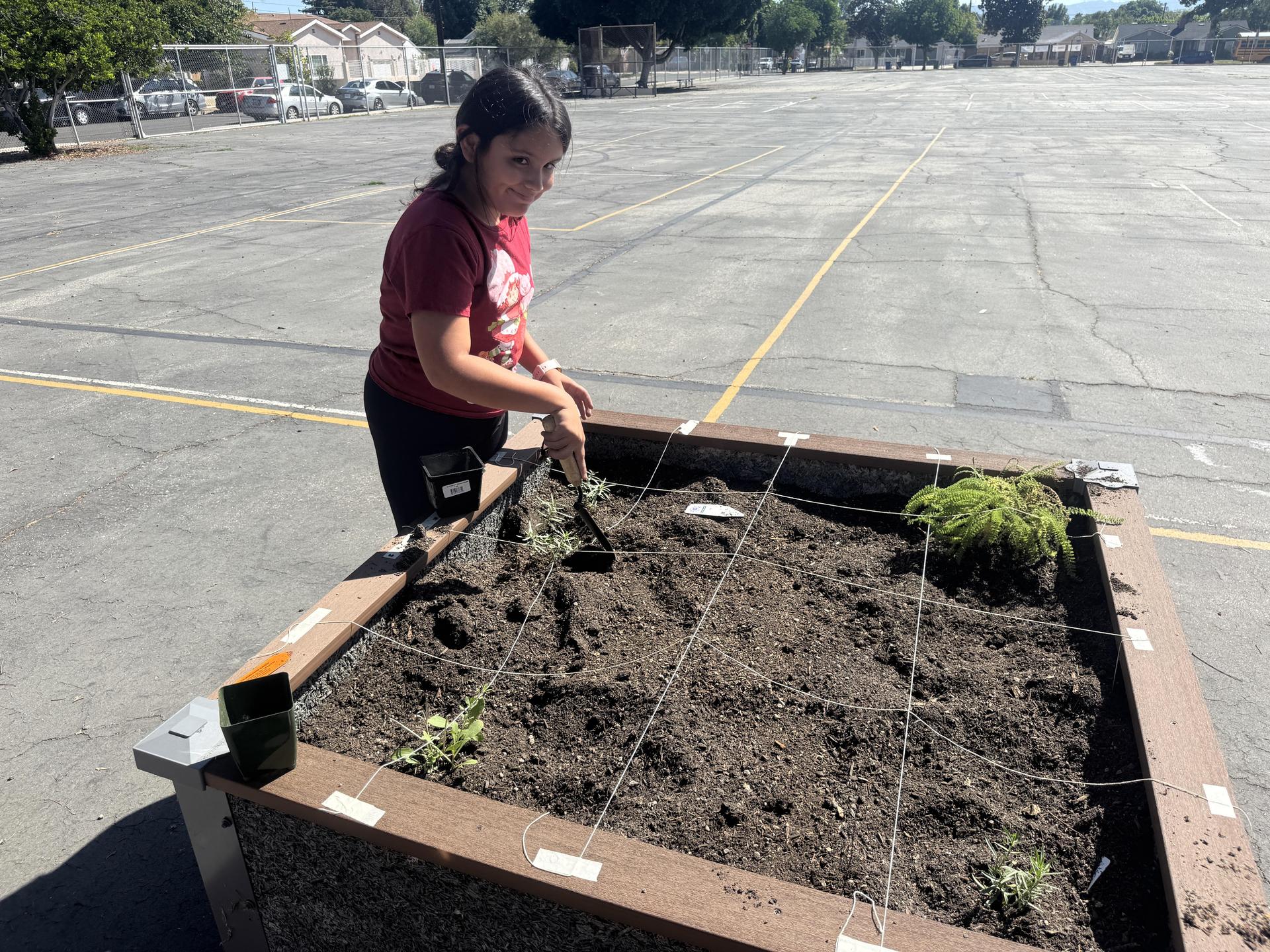 Lorne's Monarch Butterfly Sanctuary Garden