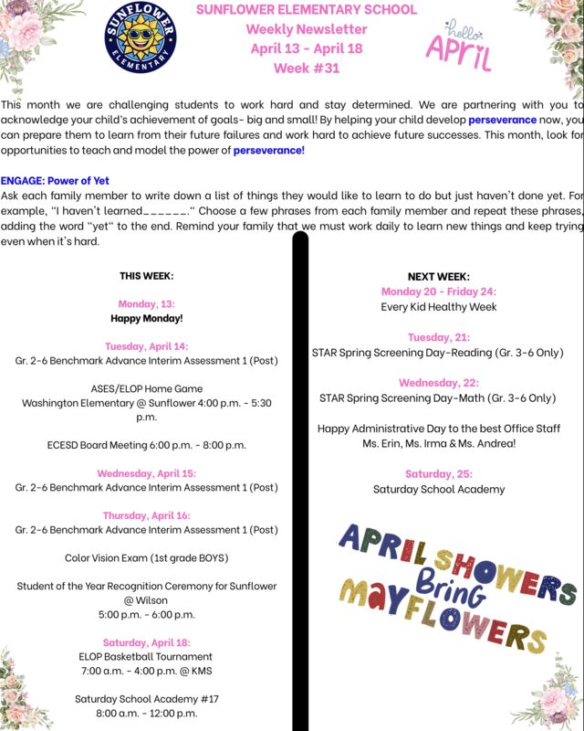 Sunflower Weekly Newsletter #31 Featured Photo