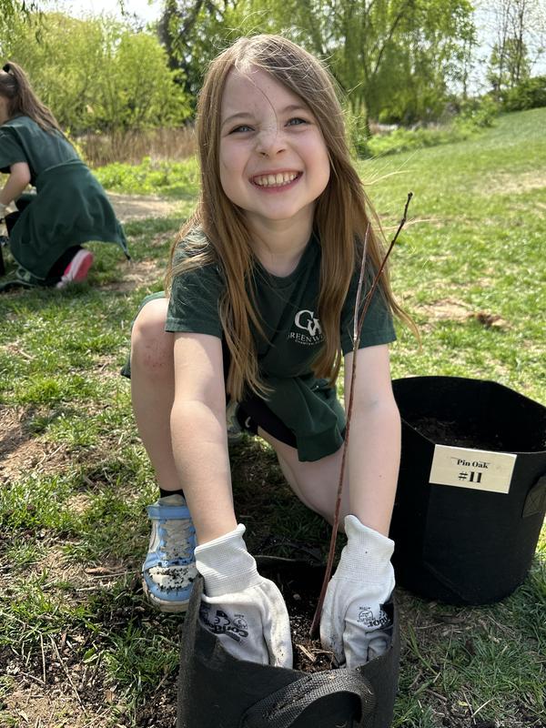 Be a Summer Tree Foster! Featured Photo