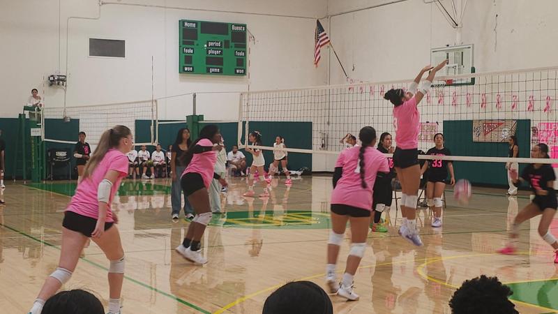 Girls volleyball picture