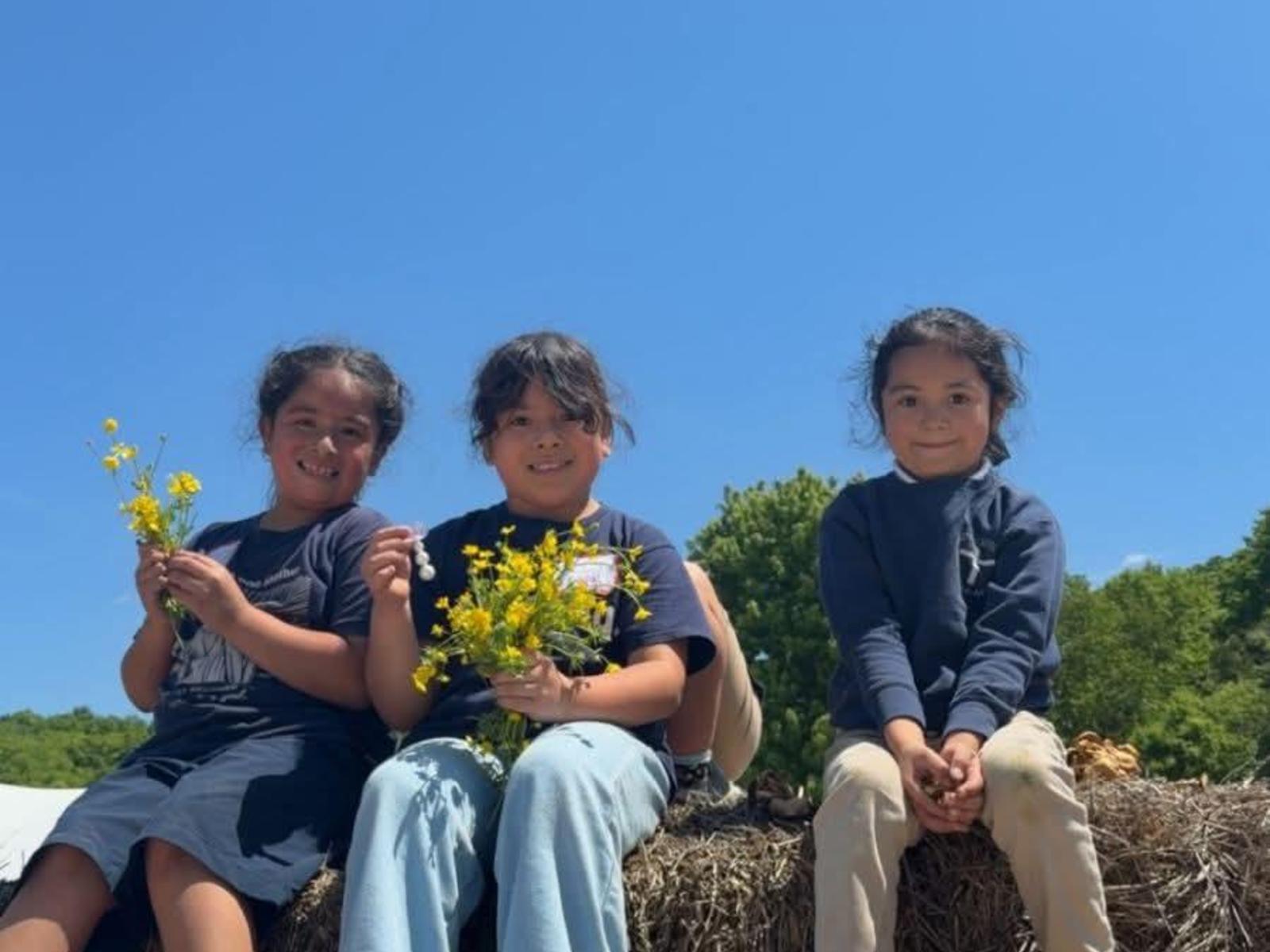 students on hay bales