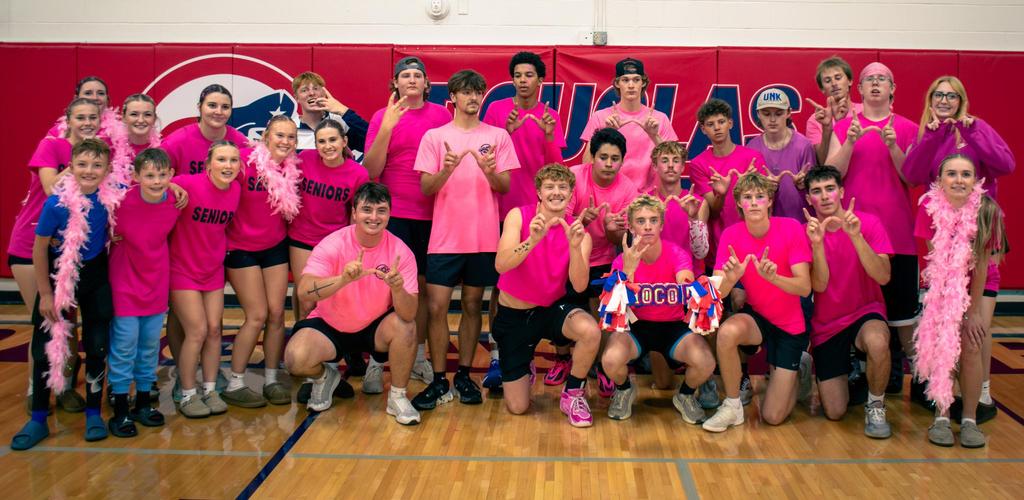 DSD Ironman VB for homecoming group in pink shirts and accessories, posing together indoors.