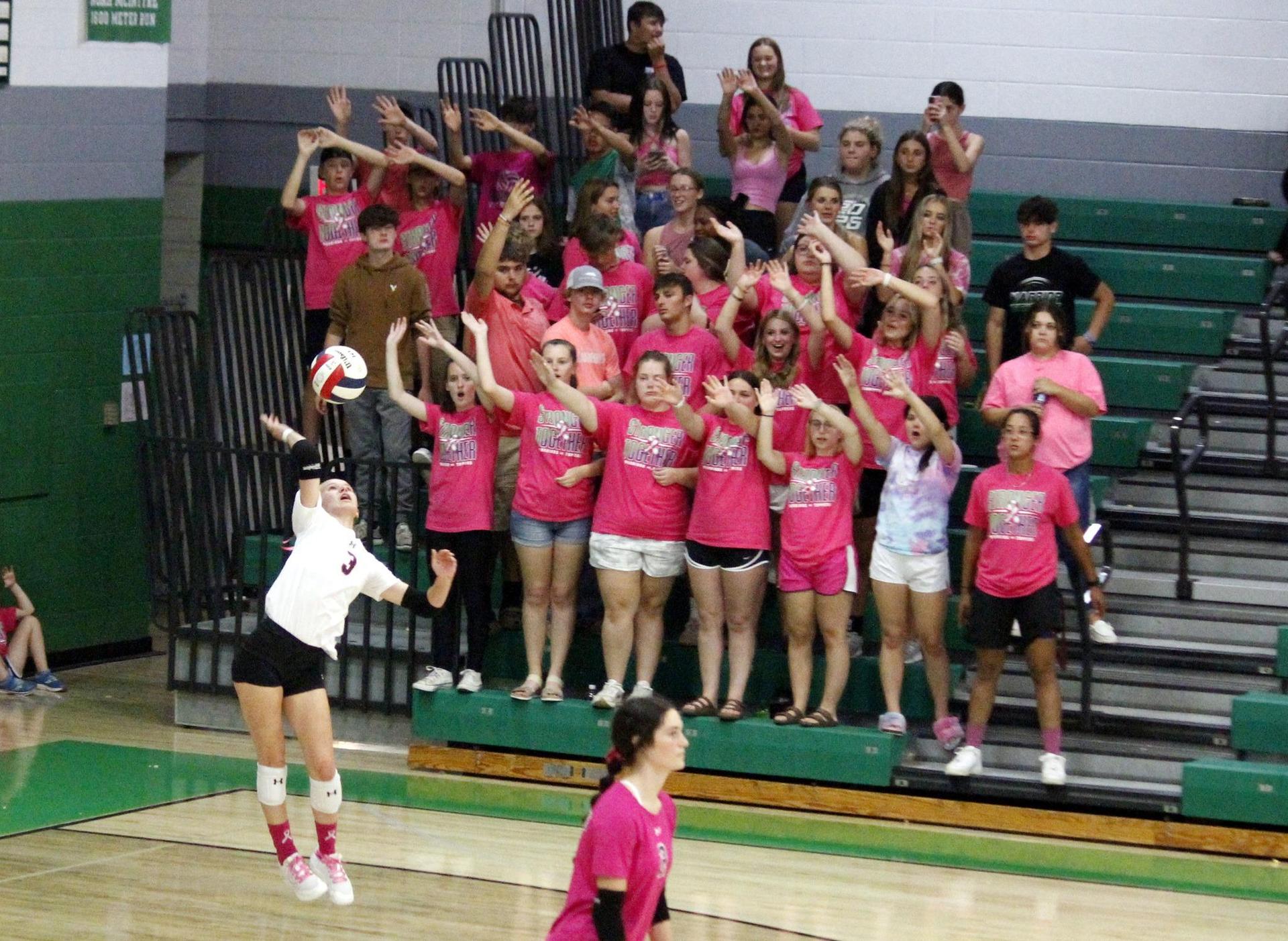 Volleyball Fall Sports Athens High School