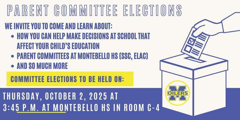 Voting image with election info in English
