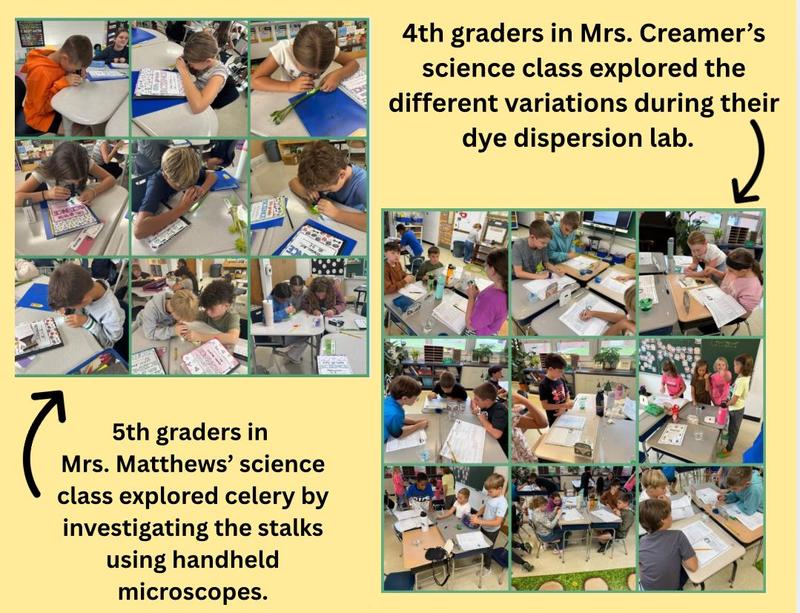 Science Fun!