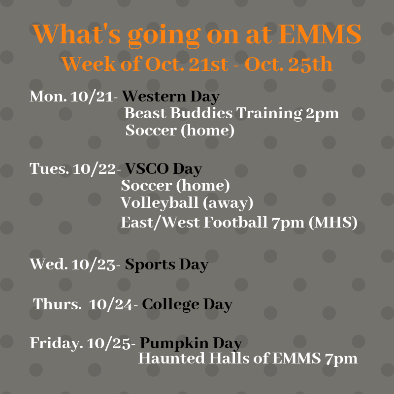 What's going on at EMMS