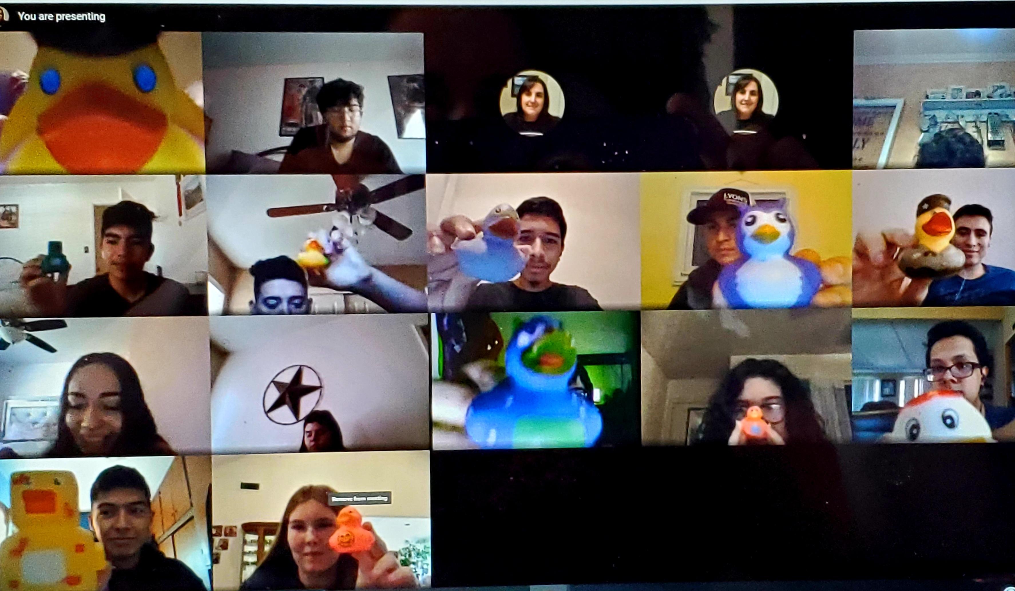 Advanced Placement Computer Science students