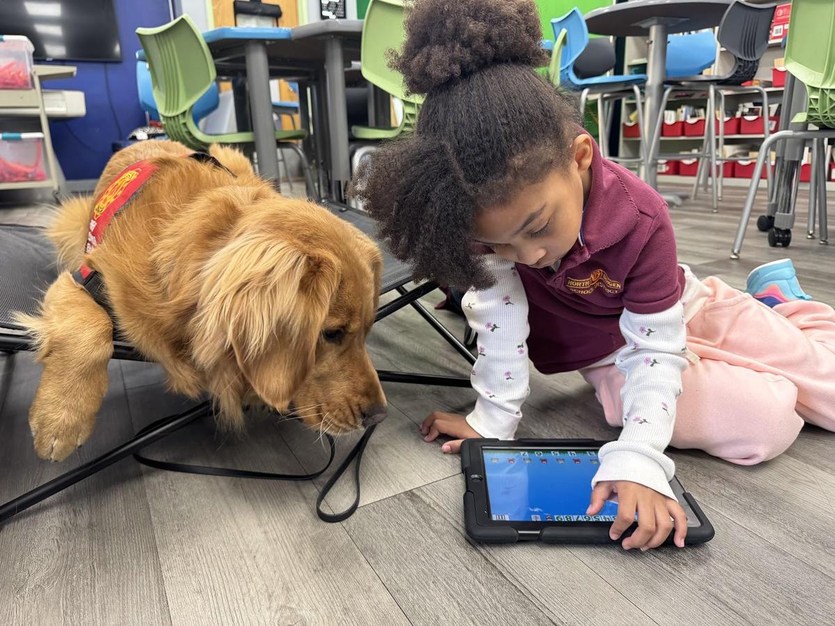 golden retriever with student on ipad