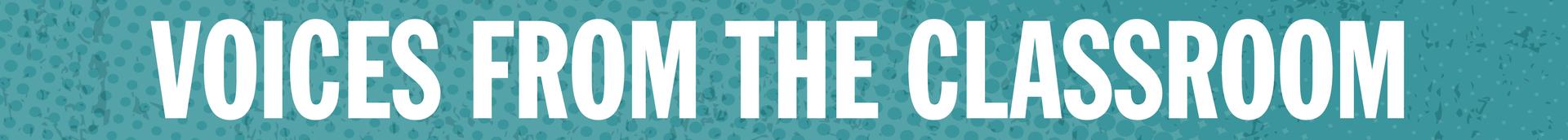 Voices From The Classroom divider