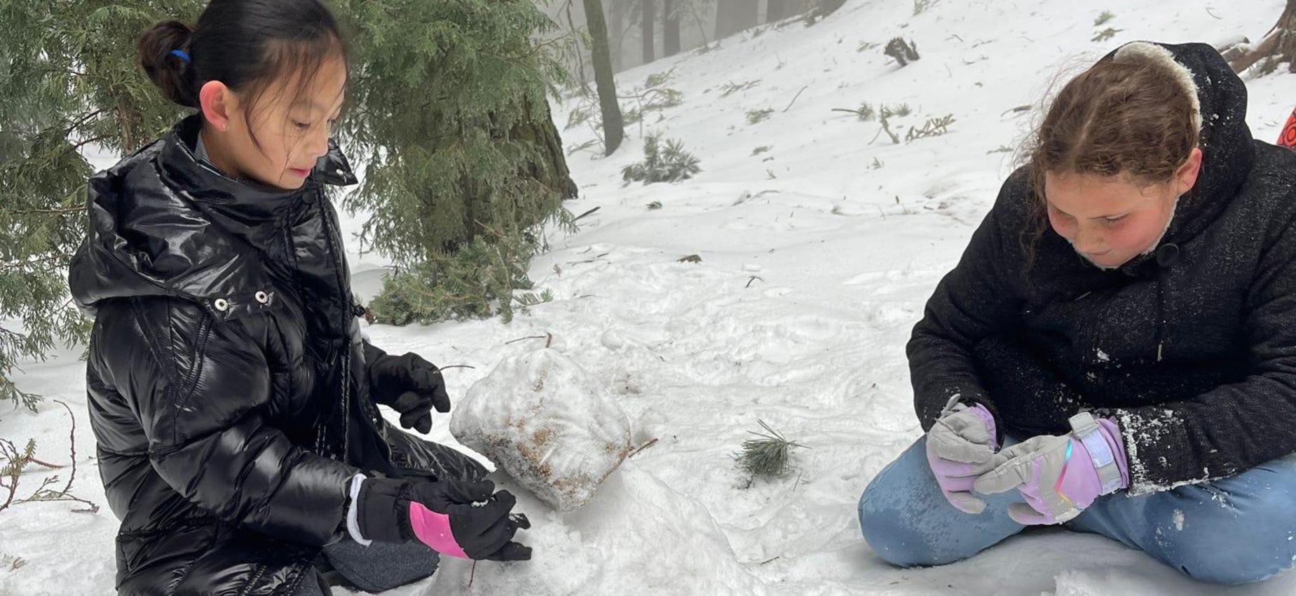 Two kids playing in the snow, building with snow and stones.
