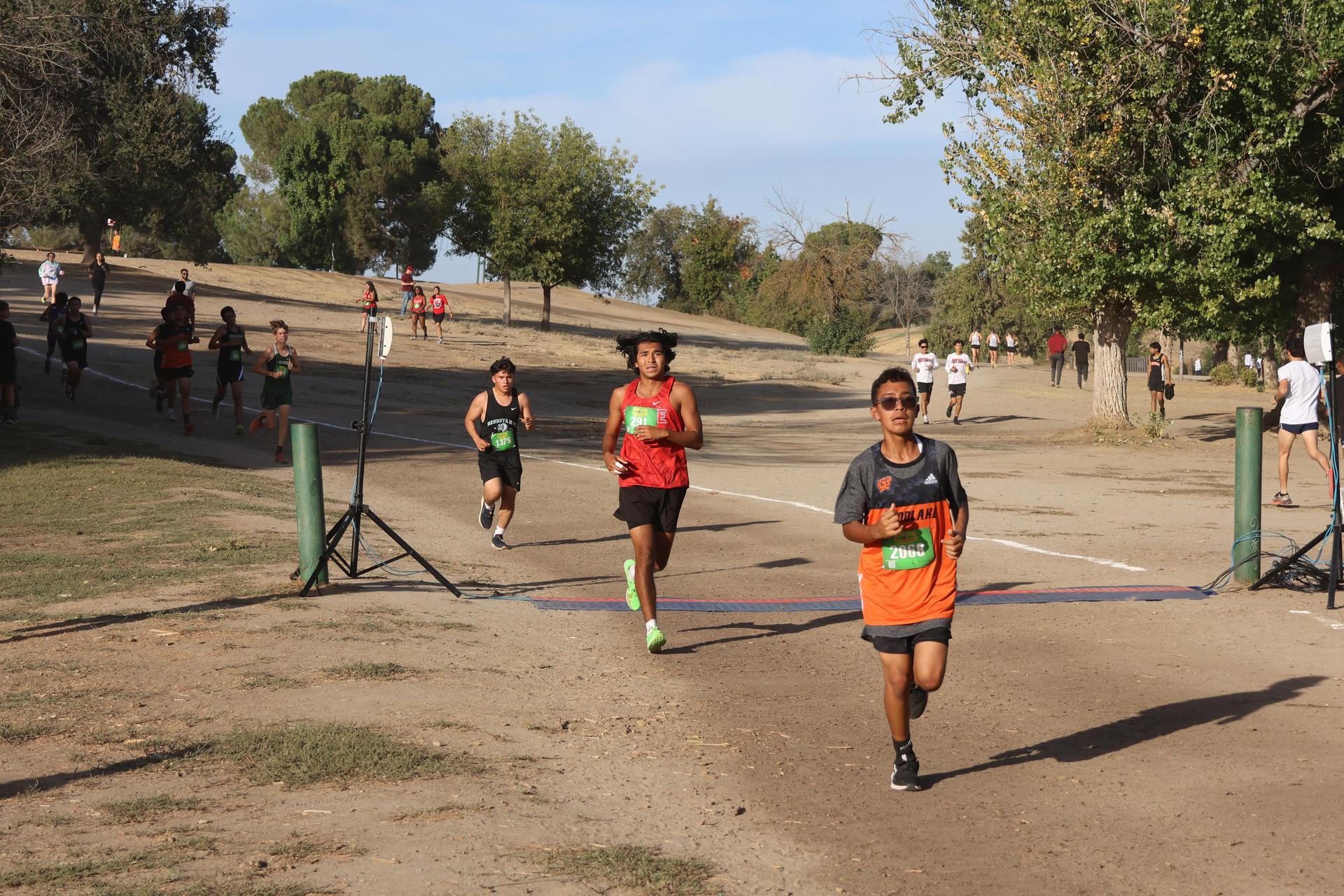 cross country runners in action